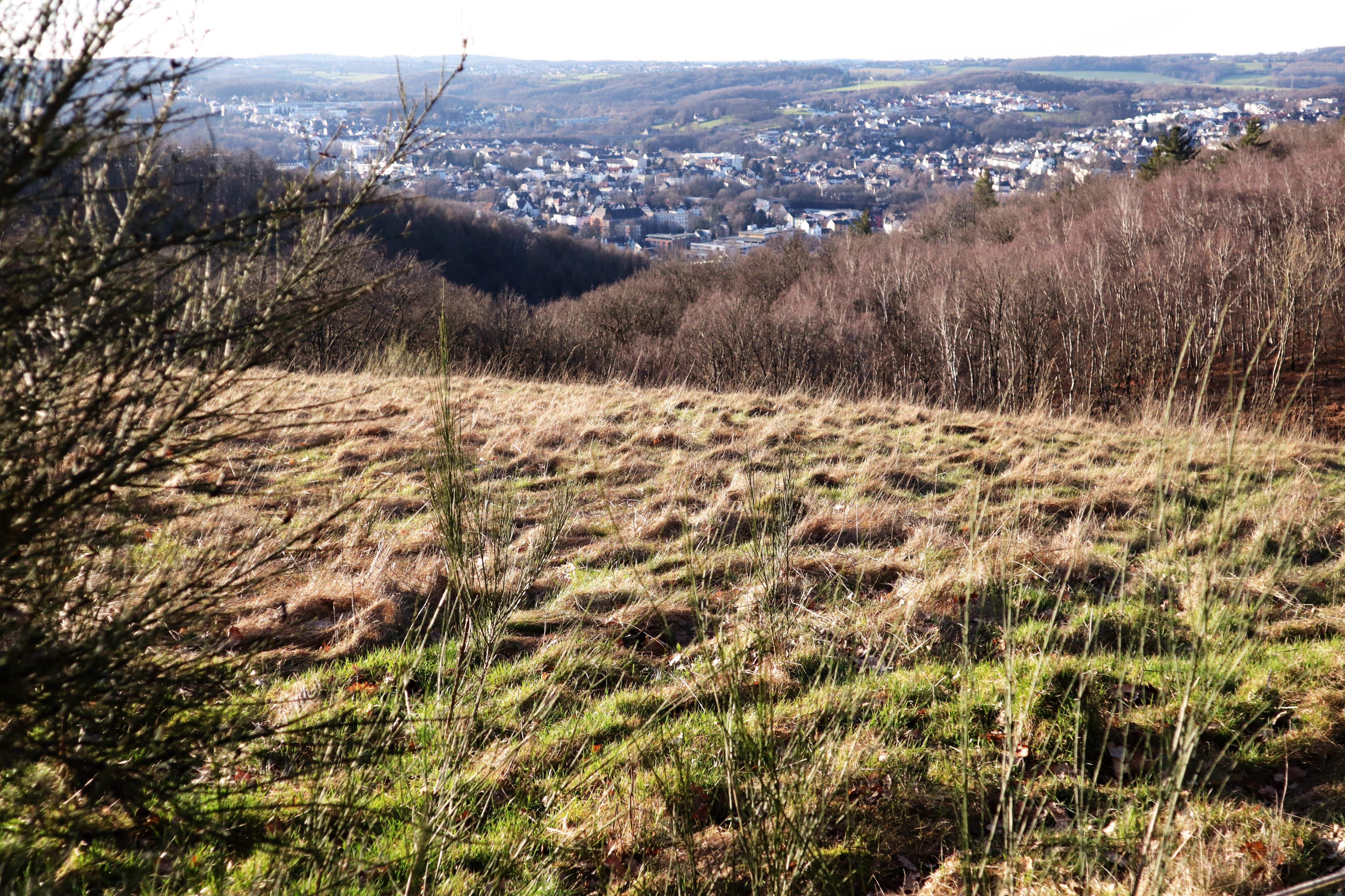 Ausblick_Meininghausen__c_Klutertwelt_Wippich